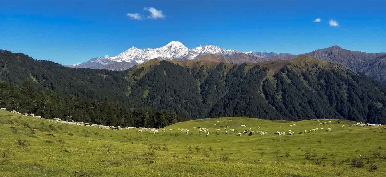 Dayara Bugyal