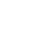 man-with-flag